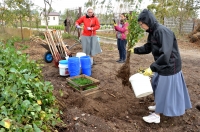 Sadzimy las po nawałnicy 2017 cz. II