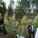 sadzimy drzewa w Orliku (10).jpg