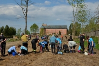 Sadzenie drzew w Orliku