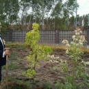 sadzimy drzewa w Orliku (12).jpg