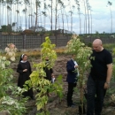 sadzimy drzewa w Orliku (13).jpg